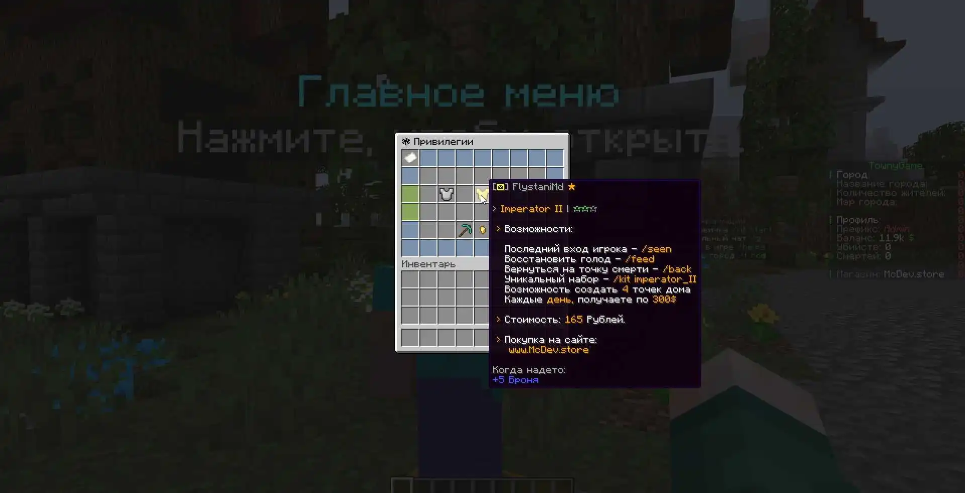 TownyGame - Политический мир