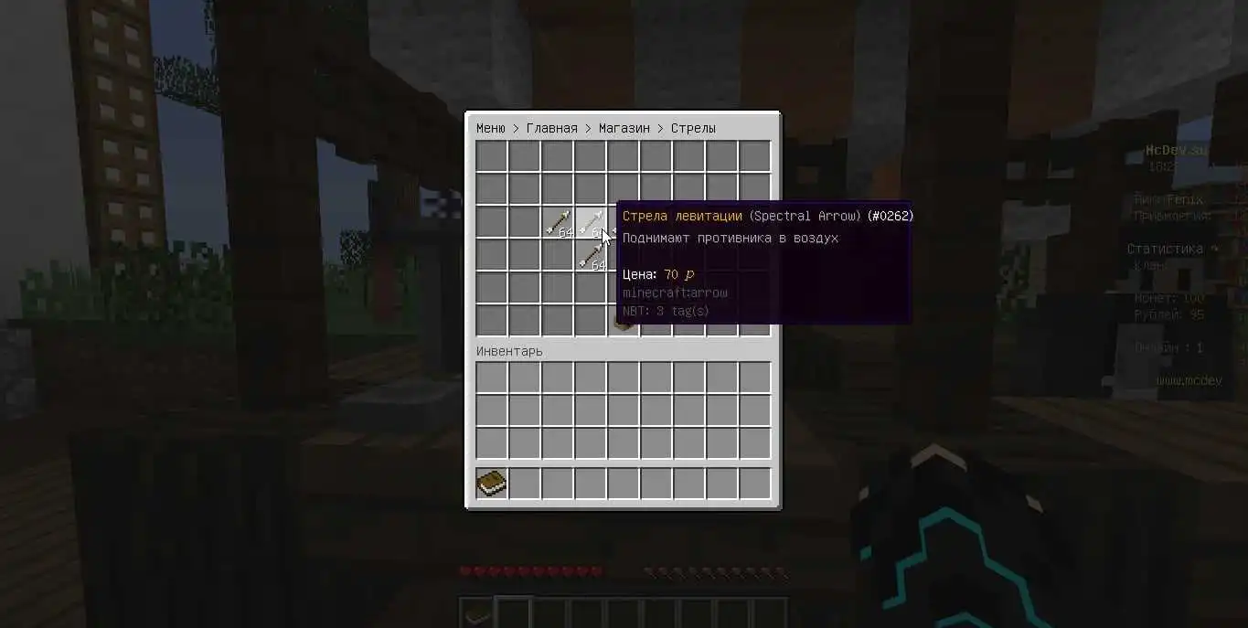 Anarchy 1.16.5 - Лучшая анархия